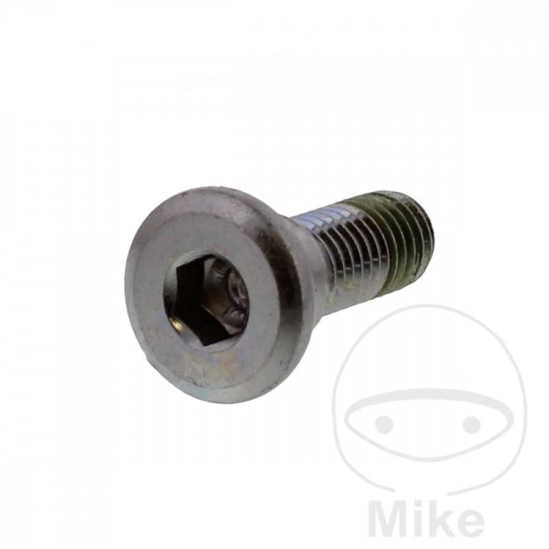 Tornillo para disco de freno OEM M8X1.25X24MM 717.02.06