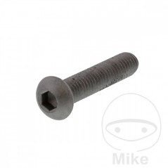 Brake disc screw OEM M6X1.25X30MM 717.02.12