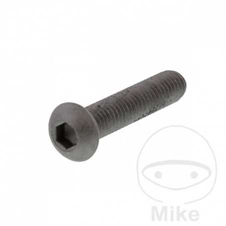 Tornillo para disco de freno OEM M6X1.25X30MM 717.02.12
