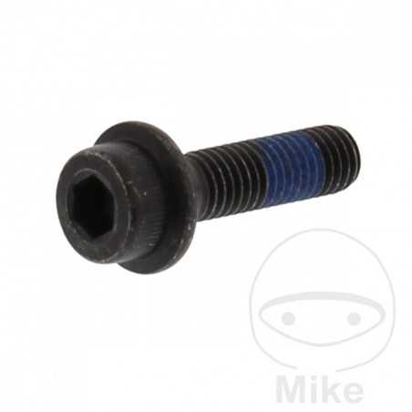 Brake disc screw OEM M8X1.25X30MM 717.02.15