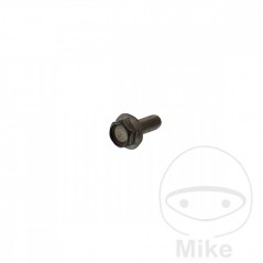 Brake disc screw OEM M6X1.0X16MM 717.02.17