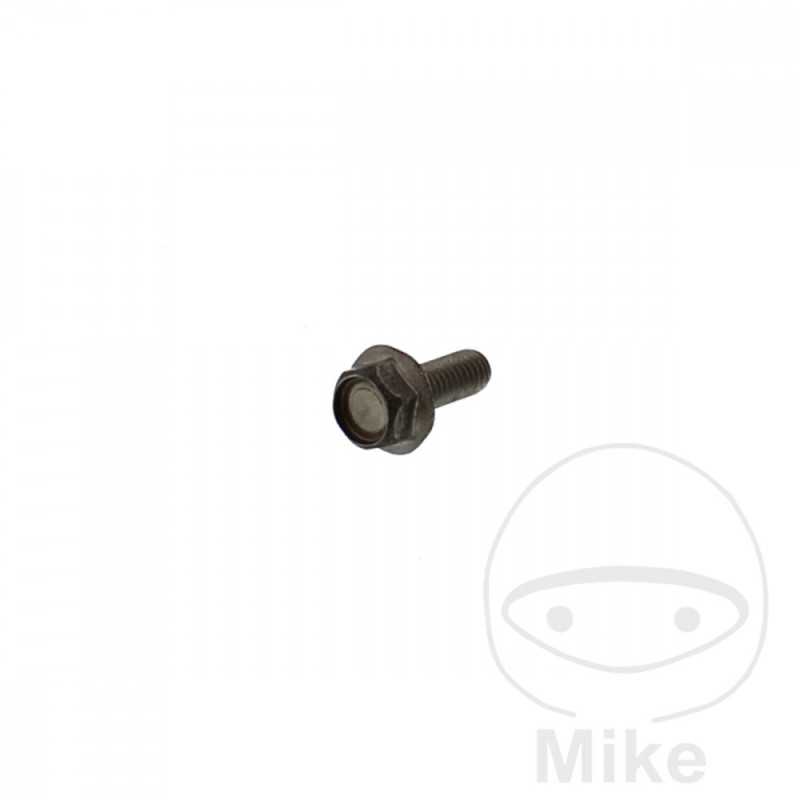 Brake disc screw OEM M6X1.0X16MM 717.02.17