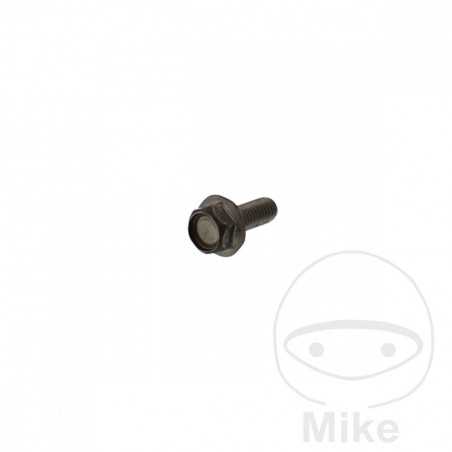 Tornillo para disco de freno OEM M6X1.0X16MM 717.02.17