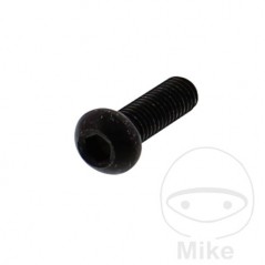 Tornillo para disco de freno OEM M8X1.25X20 MM 717.02.18