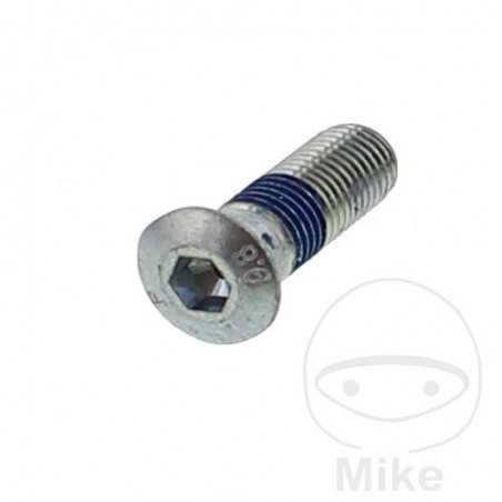 Brake disc screw OEM M10X1.25X30MM 717.02.20