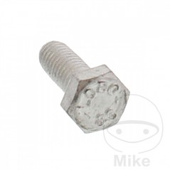 Brake disc screw OEM M6X1.0X16MM 717.02.47