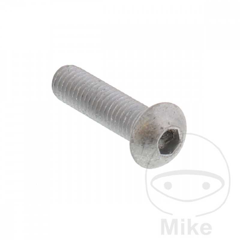 Brake disc screw OEM M8X1.25X30MM 717.02.49
