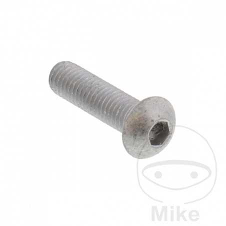 Brake disc screw OEM M8X1.25X30MM 717.02.49