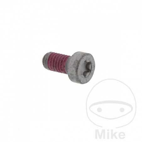 Brake disc screw OEM M6X1.0X12MM 717.02.61