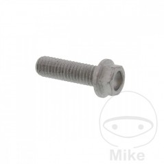 Brake disc screw OEM M6X1.0 20 MM 717.02.89
