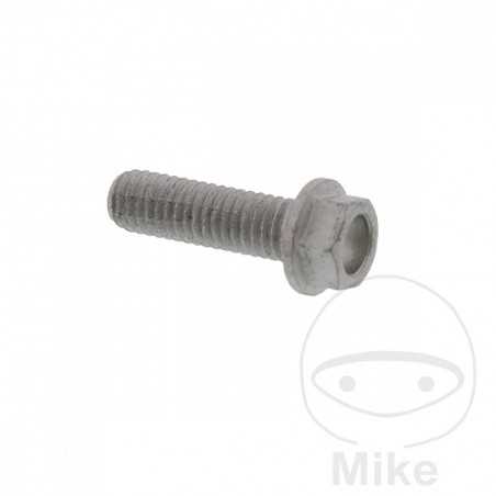 Tornillo para disco de freno OEM M6X1.0 20 MM 717.02.89