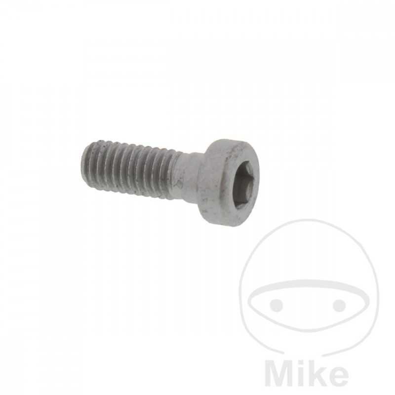 Tornillo para disco de freno OEM M6X1.0X16MM 717.02.90