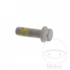 Tornillo para disco de freno OEM M6X1.0X19MM 717.02.94