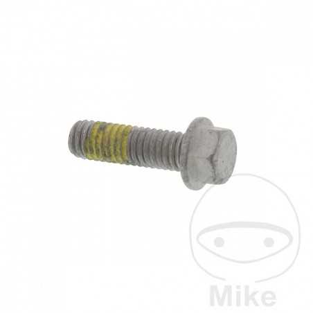 Tornillo para disco de freno OEM M6X1.0X19MM 717.02.94
