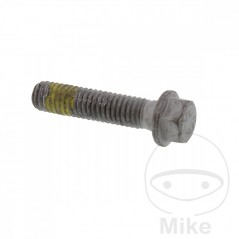 Brake disc screw OEM M6X1.0 26 MM 717.02.95