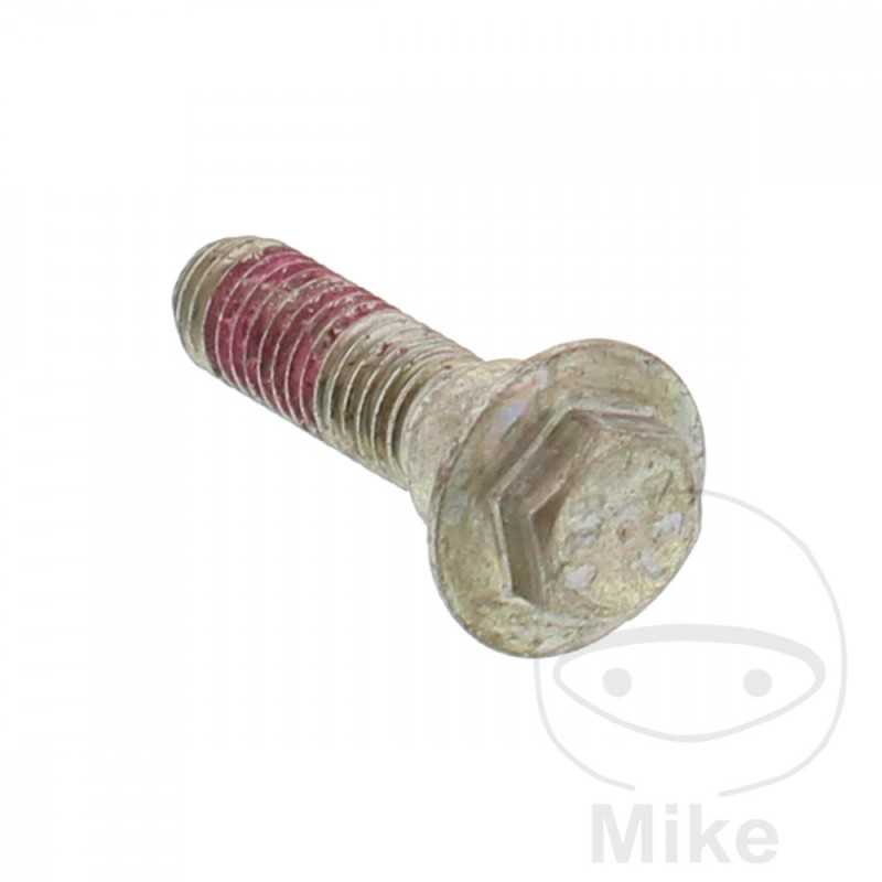 Tornillo para disco de freno OEM M8X1.25X30MM 717.02.97