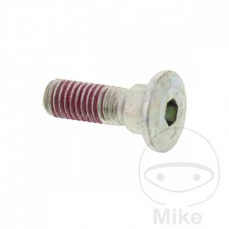 Tornillo para disco de freno OEM M8X1.25X25 MM 717.02.98