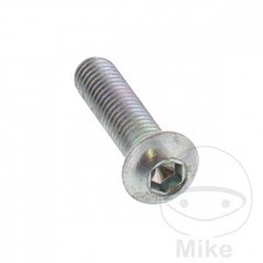 Brake disc screw OEM M6X1.0X25MM 717.03.06