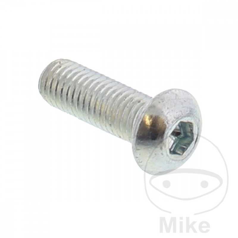 Brake disc screw OEM M8X1.25X20 MM 717.03.07