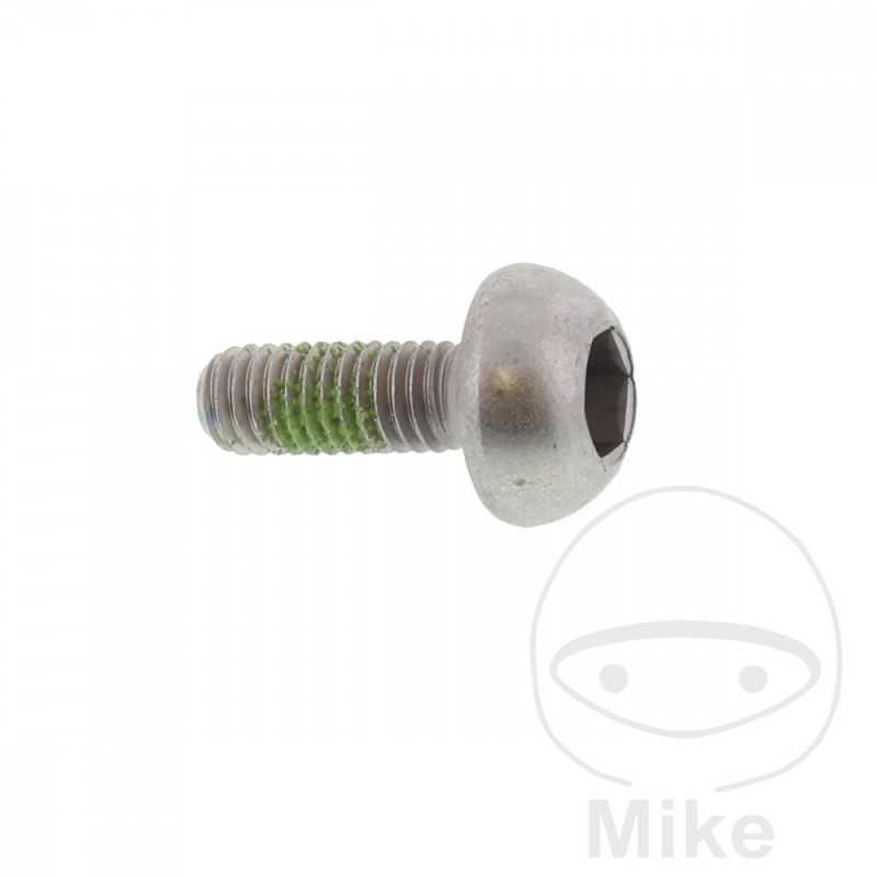 Tornillo para disco de freno OEM M6X1.0X17MM 717.03.11