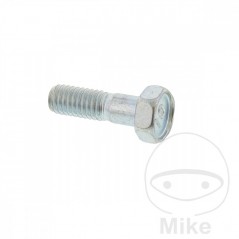 Brake disc screw OEM M6X1.0X19MM 717.03.13