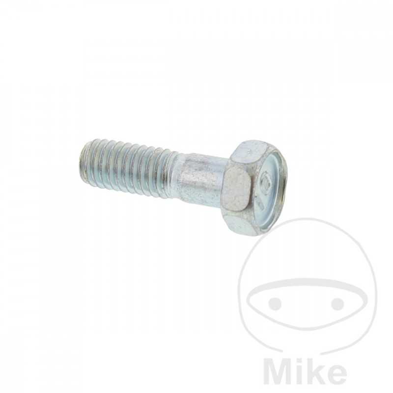 Brake disc screw OEM M6X1.0X19MM 717.03.13