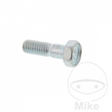 Brake disc screw OEM M6X1.0X19MM 717.03.13