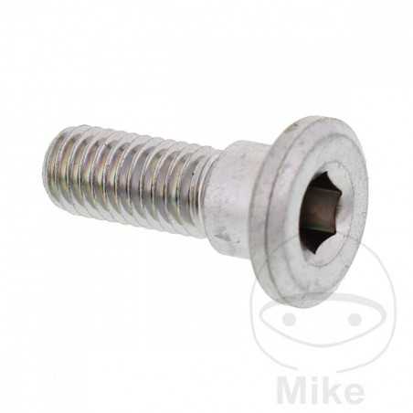 Brake disc screw OEM M8X1.25X22MM 717.03.17