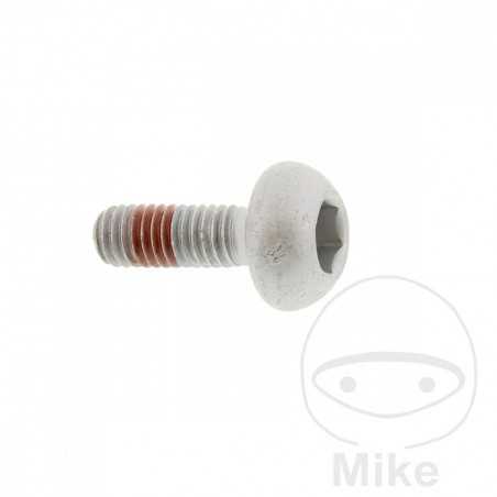 Brake disc screw OEM M6X1.0X17MM 717.03.19