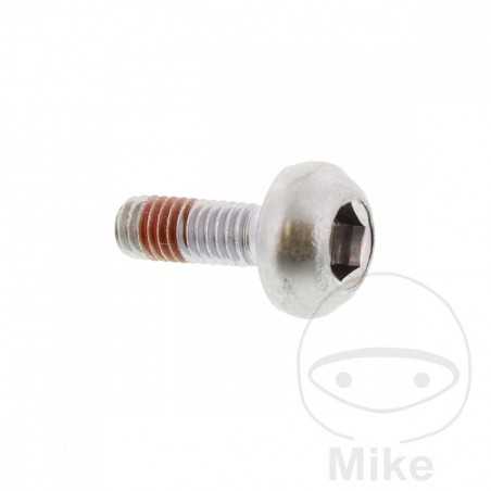 Brake disc screw OEM M6X1.0X17MM 717.03.20