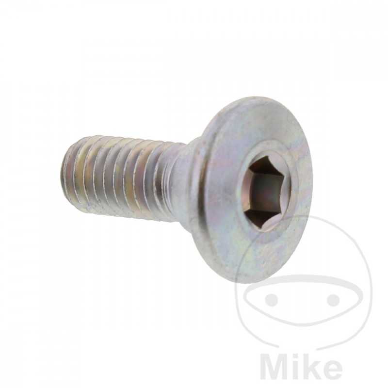 Brake disc screw OEM M8X1.25X20 MM 717.03.27
