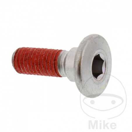 Brake disc screw OEM M8X1.25X25 MM 717.03.31