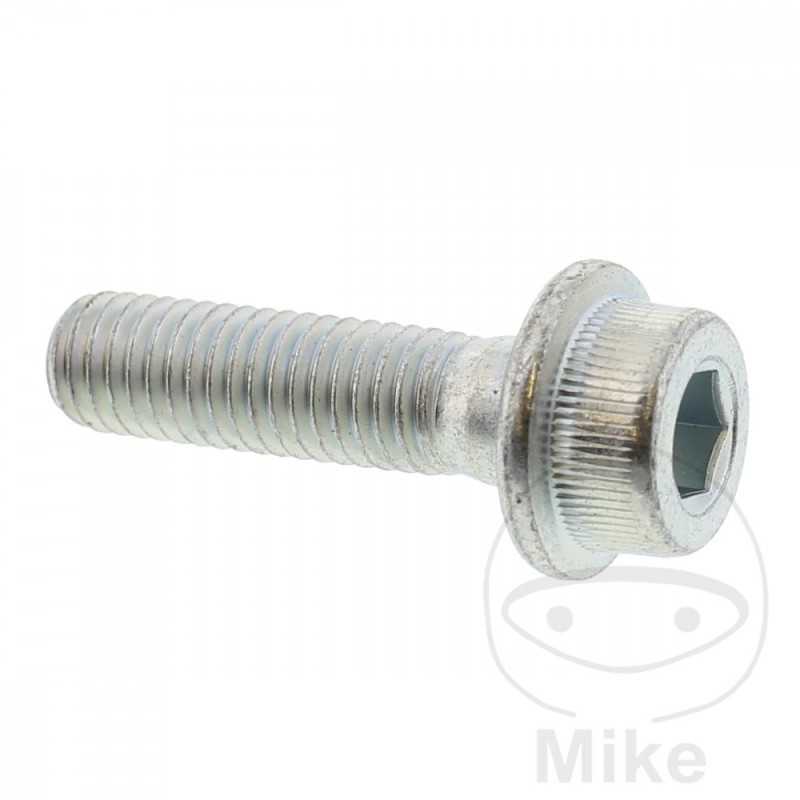 Brake disc screw OEM M8X1.25X30MM 717.03.36