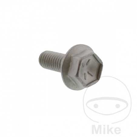 Brake disc screw OEM M6X1.0X16MM 717.03.52