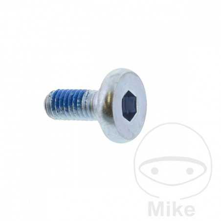 Brake disc screw OEM M6X1.0X15MM 717.03.56