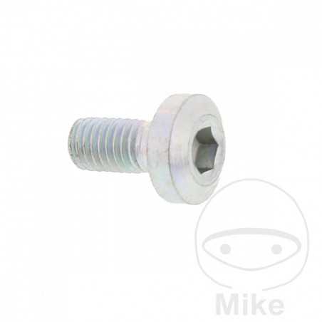 Tornillo para disco de freno OEM M8X1.25X17 MM 717.03.61