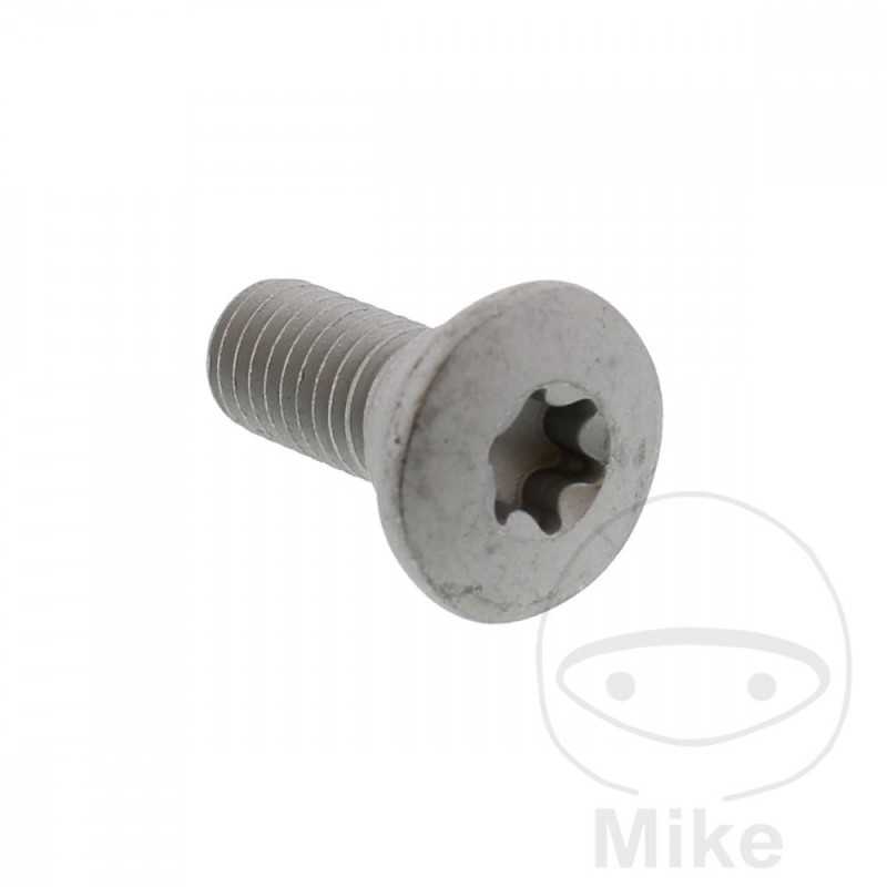 Brake disc screw OEM M8X1.25X20 MM 717.03.65