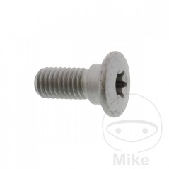 Brake disc screw OEM M8X1.25X20 MM 717.03.65