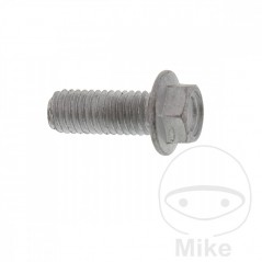 Tornillo para disco de freno OEM M8X1.25X22MM 717.03.75