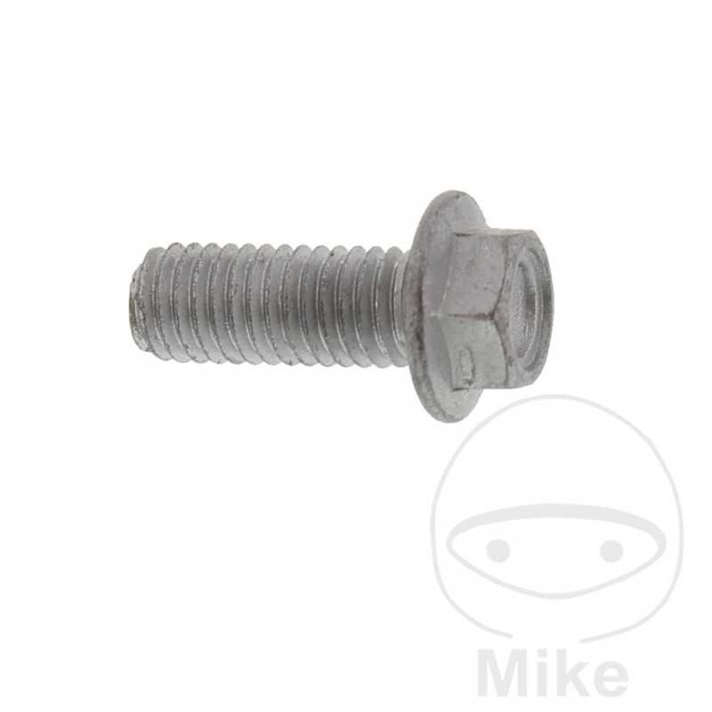 Tornillo para disco de freno OEM M8X1.25X22MM 717.03.75