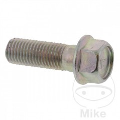 Brake disc screw OEM M10X1.25X30MM 717.03.80