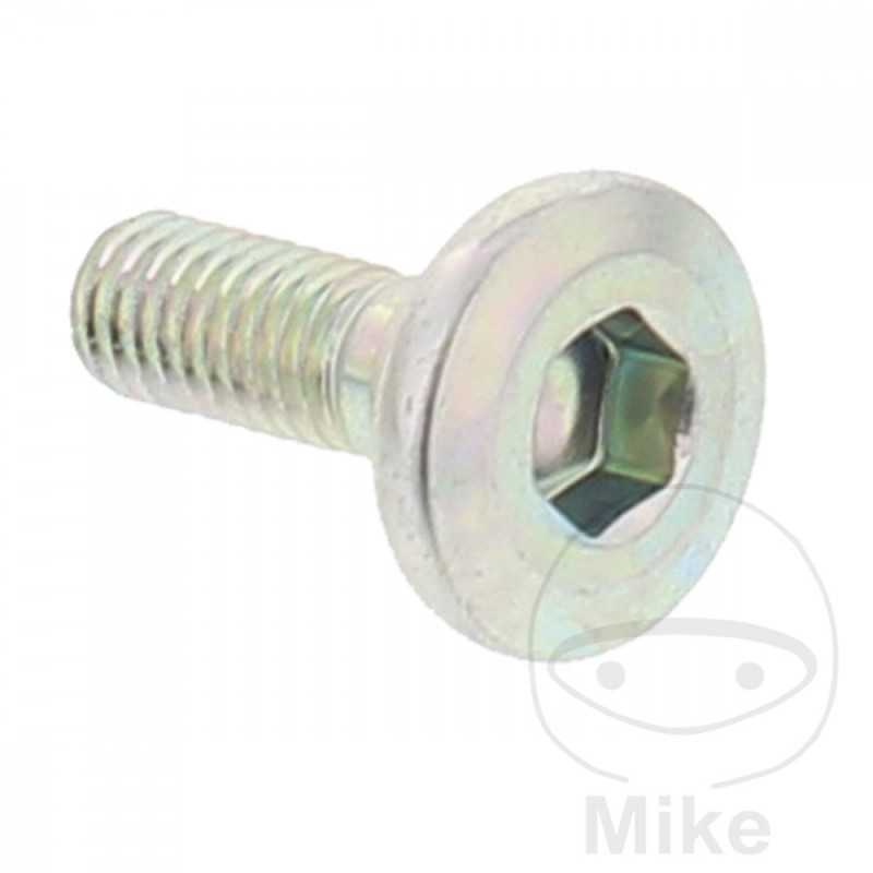 Brake disc screw OEM M6X1.0X18MM 717.03.81