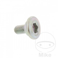 Brake disc screw OEM M6X1.0X12MM 717.03.82
