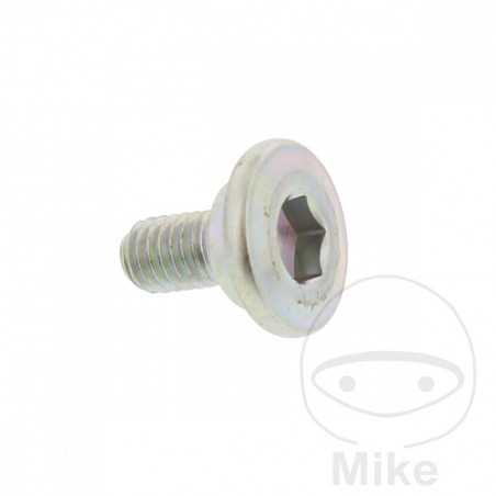 Brake disc screw OEM M6X1.0X12MM 717.03.82