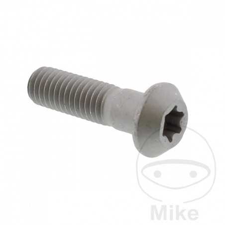Brake disc screw OEM M8X1.25X28MM 717.03.95