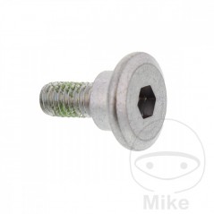 Tornillo para disco de freno OEM M6X1.0X17MM 717.04.04