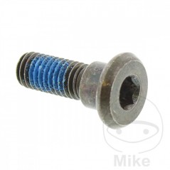 Tornillo para disco de freno OEM M8X1.25X24MM 717.04.28