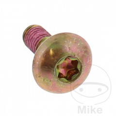 Tornillo para disco de freno OEM M6X1.0X18MM 717.04.31