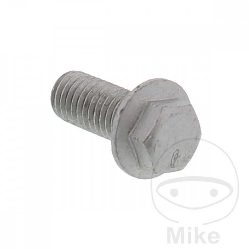 Tornillo para disco de freno OEM M8X1.25X18MM 717.04.53