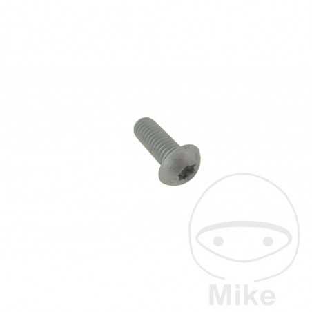 Brake disc screw OEM M8X1.25X20 MM 717.04.59
